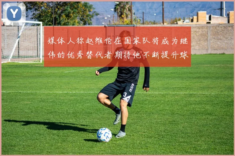 媒体人称赵维伦在国家队将成为继伟的优秀替代者期待他不断提升球技