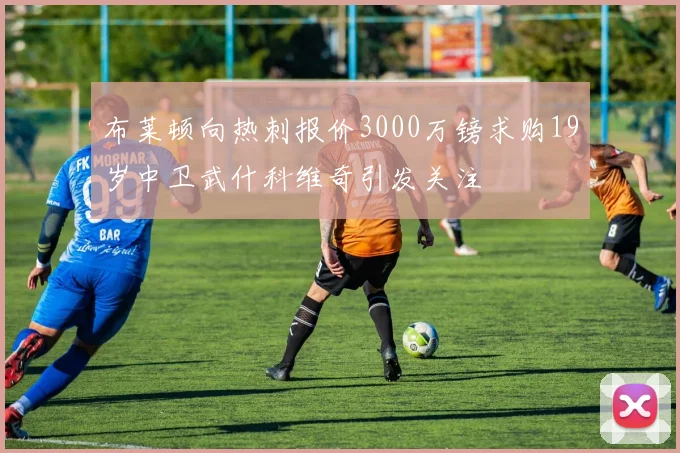 布莱顿向热刺报价3000万镑求购19岁中卫武什科维奇引发关注