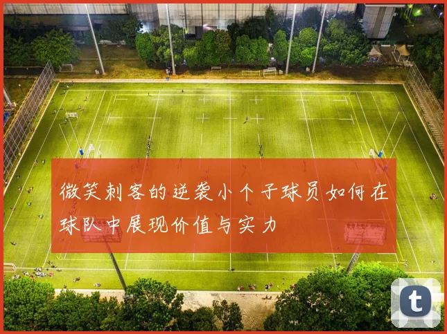 微笑刺客的逆袭小个子球员如何在球队中展现价值与实力